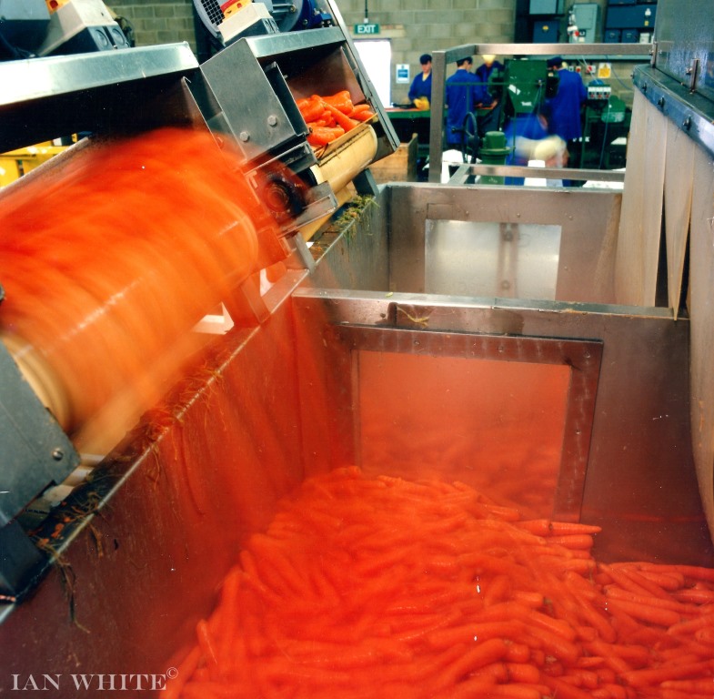 Twin_lane_hydrocooler_2.compressed